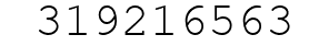 Number 319216563.