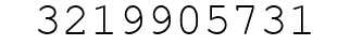 Number 3219905731.