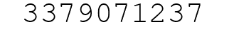 Number 3379071237.