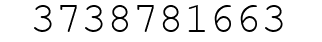 Number 3738781663.