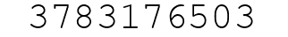 Number 3783176503.