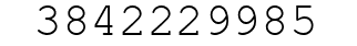 Number 3842229985.
