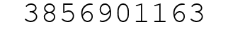 Number 3856901163.