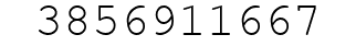 Number 3856911667.