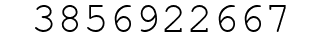 Number 3856922667.