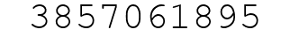 Number 3857061895.