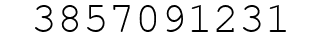 Number 3857091231.