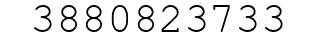 Number 3880823733.