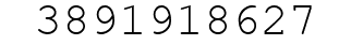 Number 3891918627.