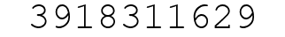 Number 3918311629.