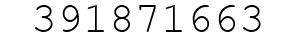 Number 391871663.