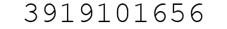 Number 3919101656.