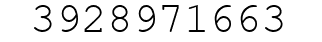Number 3928971663.