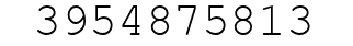 Number 3954875813.