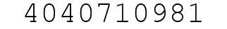 Number 4040710981.