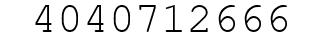 Number 4040712666.