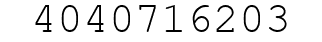 Number 4040716203.