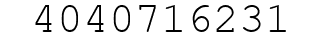 Number 4040716231.