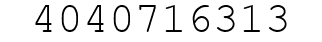 Number 4040716313.