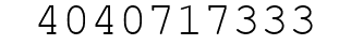 Number 4040717333.
