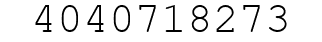 Number 4040718273.