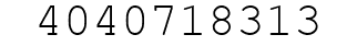 Number 4040718313.
