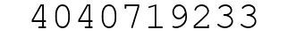 Number 4040719233.