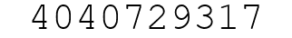 Number 4040729317.