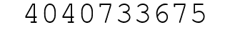 Number 4040733675.