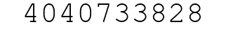 Number 4040733828.