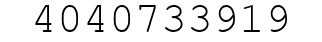 Number 4040733919.
