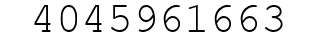 Number 4045961663.