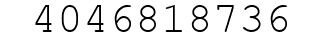 Number 4046818736.