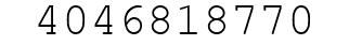 Number 4046818770.