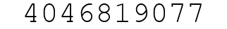 Number 4046819077.