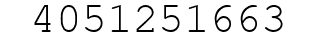 Number 4051251663.