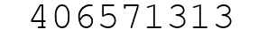 Number 406571313.