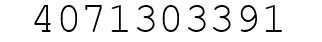 Number 4071303391.