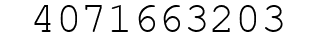 Number 4071663203.