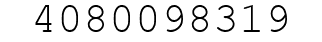 Number 4080098319.