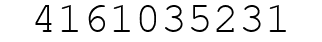 Number 4161035231.