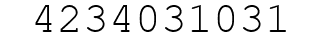 Number 4234031031.