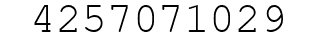 Number 4257071029.