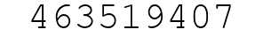 Number 463519407.