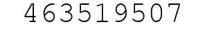Number 463519507.