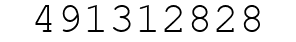 Number 491312828.