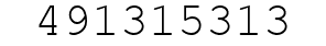 Number 491315313.