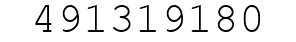 Number 491319180.