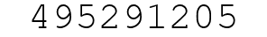 Number 495291205.