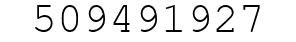 Number 509491927.